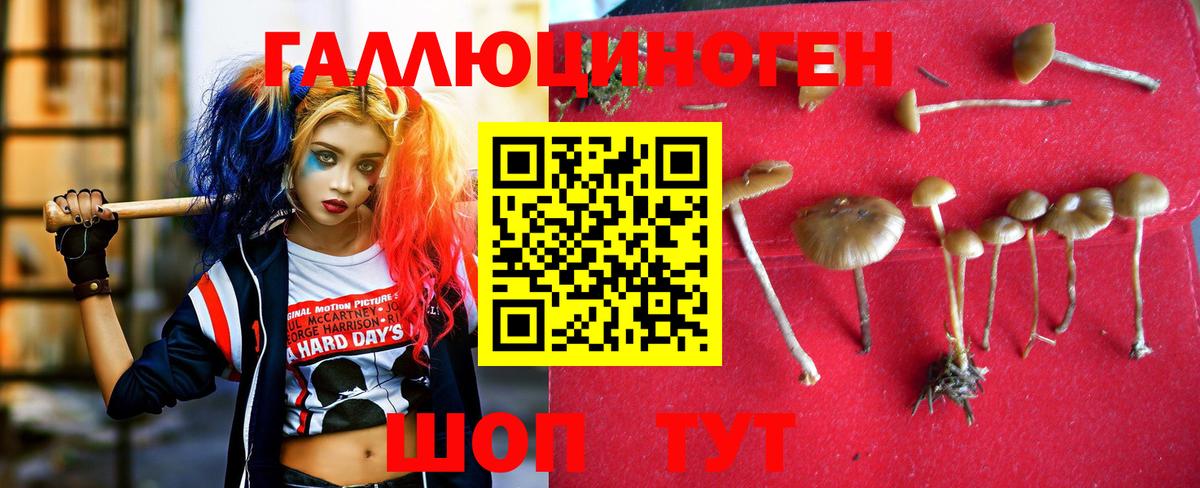 Галлюциногенные грибы ЛСД Грязи